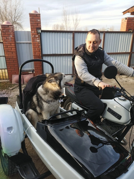 В свободное время самарский полицейский реставрирует советские мотоциклы