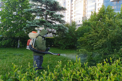 В общественных местах Самары начали уничтожать комаров