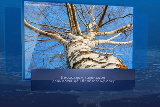 Березосок. Календарь губернии от 11 мая