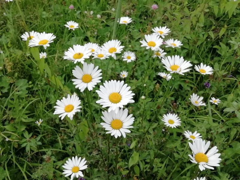 В Самарской области откроют экологический парк для детей