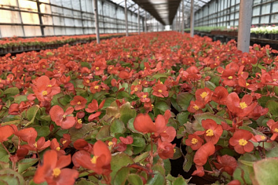 Во всех районах Самары 1 апреля 2022 года стартует месячник по благоустройству