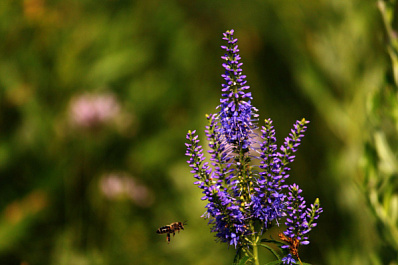 Народные приметы на 2 июля 2025 года: что нельзя делать в этот день