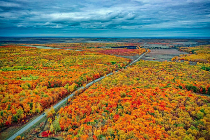 Название статьи
