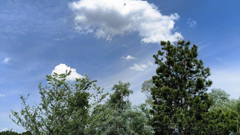 Погода на 24 мая 2025 года: народные приметы и прогноз синоптиков