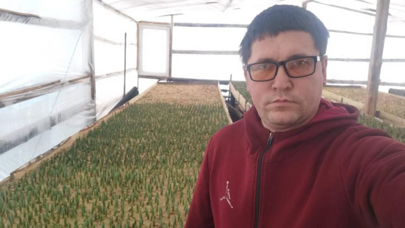 Благодаря соцконтракту житель Челно-Вершинского района начал выращивать тюльпаны 