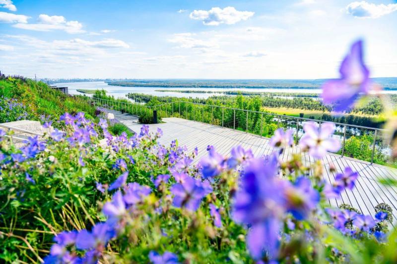 День семьи, любви и верности: где отметить праздник в Самаре