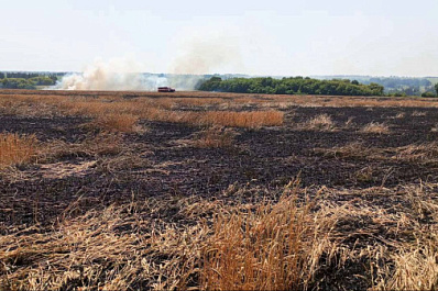 5 июля в Самарской области горело пшеничное поле