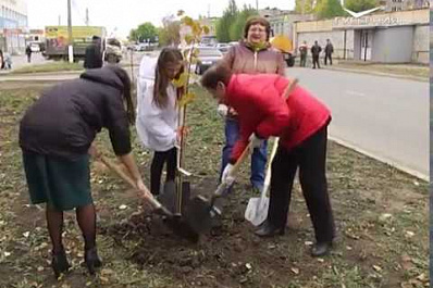 Жители Кинеля захотели превратить улицу в цветущую аллею