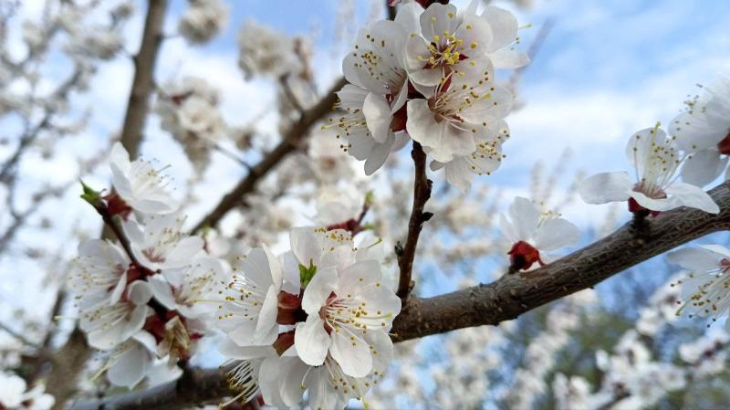 Народные приметы на 1 мая 2025 года: что нельзя делать в этот день