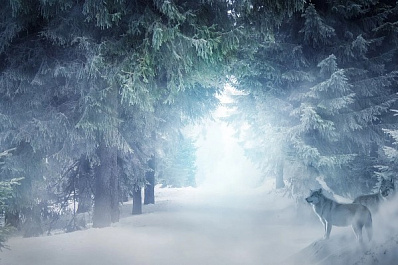 В Самарской области будут холодные туманные выходные