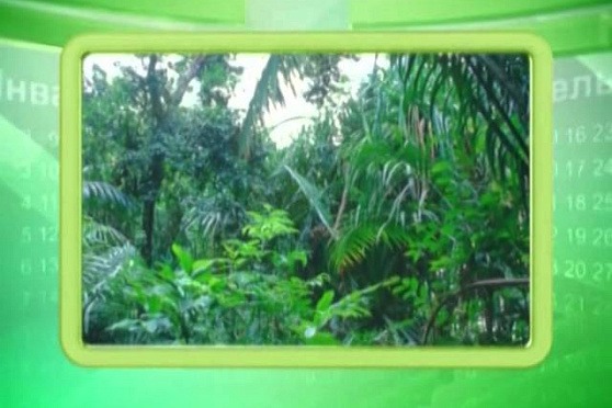 Календарь Губернии 28.07.2014