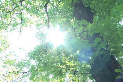 Самарский врач рассказал, как пережить жару без вреда для здоровья