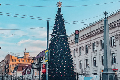 Красота и экологичность: выбираем новогоднюю ёлку