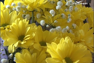 В Самарской области учителя отметили профессиональный праздник