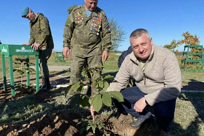 Тольяттинцы высадили каштаны в память о героях России