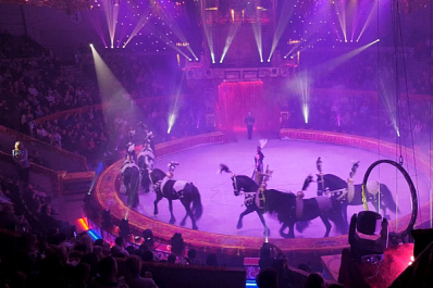 Волшебство и путешествие в сказку: в Самарском цирке взрослые и дети погрузились в атмосферу праздника