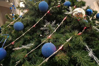 Самарцы рассказали о нелюбимых предновогодних делах