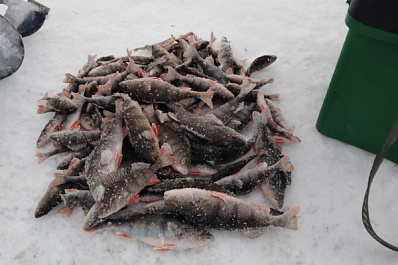 Рыбалка в экстремальных условиях: под Сызранью лунки замерзали за секунды
