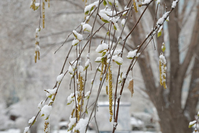Название статьи