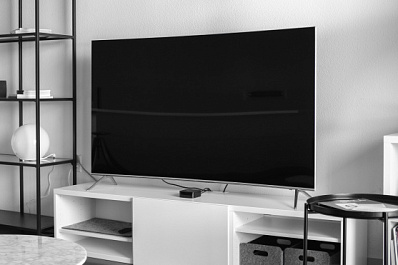 В Тольятти ранее судимый мужчина украл из магазина телевизор