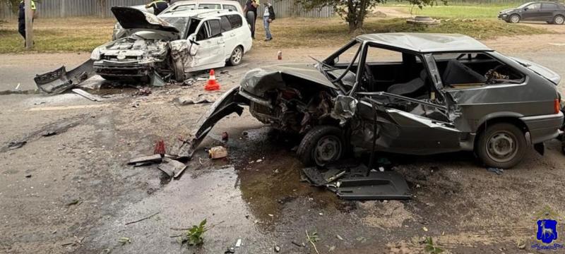 В Самарской области на трассе легковушка вылетела в кювет, водитель погиб