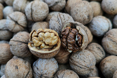 Заботятся о сердце и помогают думать: эксперт раскрыл пользу грецких орехов