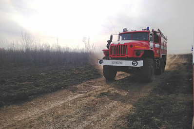 В Дубово-Уметском лесничестве почти 200 человек тушат крупный пожар