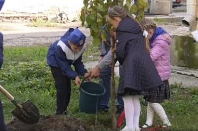 В рамках экологической акции школьники в Самаре сажают деревья