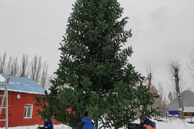 В парке Гагарина устанавливают праздничную елку