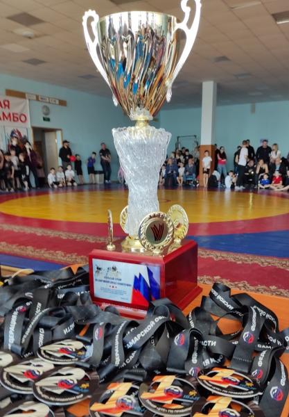 В эту субботу в Тольятти прошел межрегиональный открытый детский турнир по бразильскому джиу-джитсу