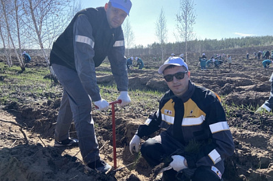 Лес для жизни: самарские нефтяники посадили в регионе более 16 тысяч деревьев
