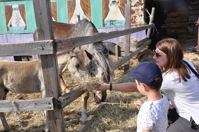 Красноярский район представил свои туристические возможности