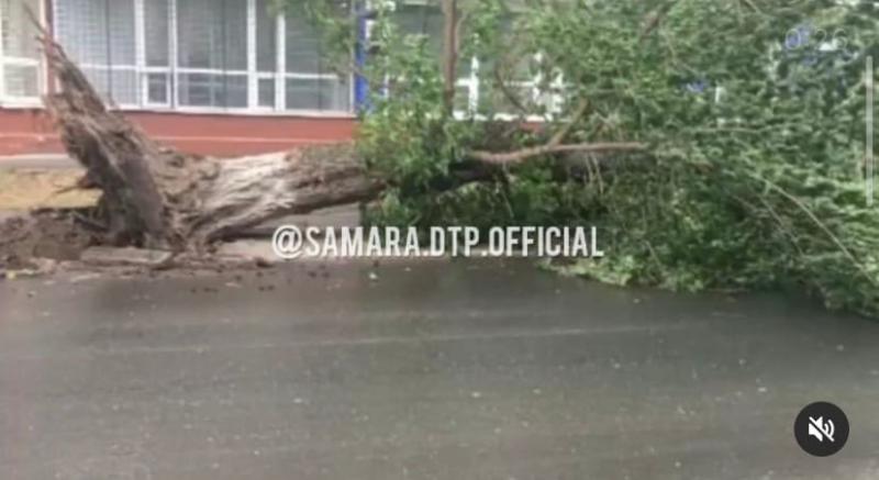 Ураган в Самаре повалил деревья и снес остановки