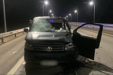 В Самарской области из-за сбитого лося произошло два ДТП