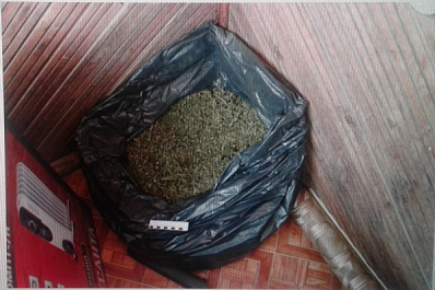 Симулировал приступ при задержании: у жителя Самарской области нашли больше 4 кг марихуаны