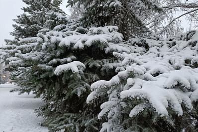В Самарской области снегопад побил рекорды 1995 года