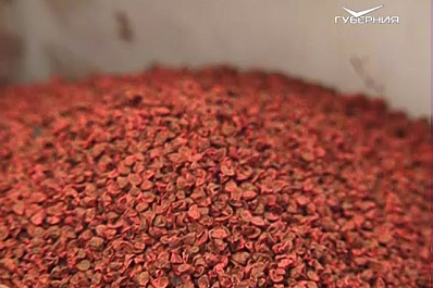 414 млн рублей выделено аграриям региона на подготовку к посевной кампании