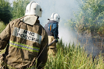 Дмитрий Азаров: "По всей строгости закона накажем тех, кто посягает на тольяттинский лес"