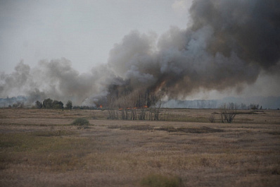 Пострадали два человека: прокуратура взяла на контроль ситуацию с крупным пожаром в Борском районе
