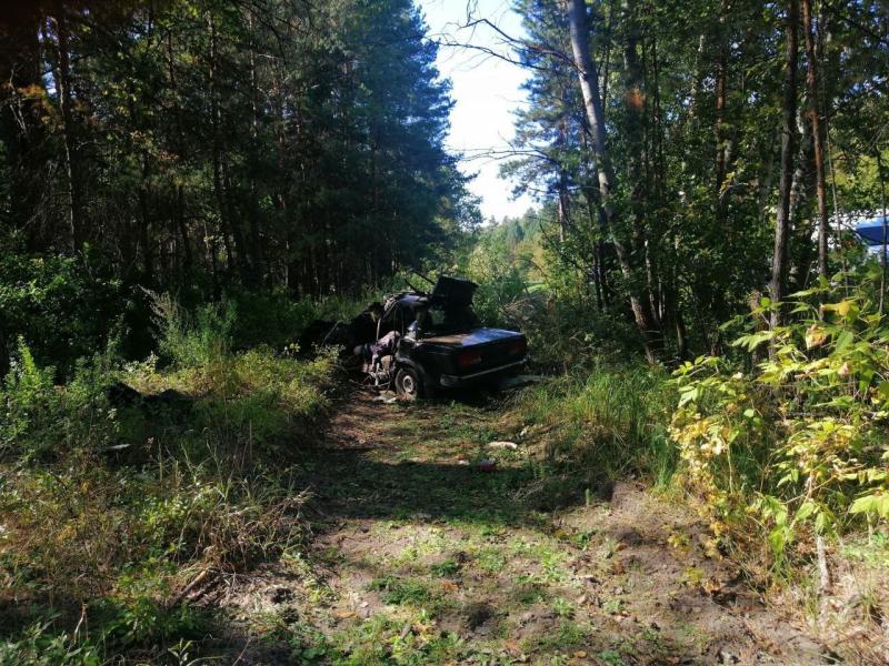 В Самарской области водитель "семерки" погиб, вылетев в кювет с трассы