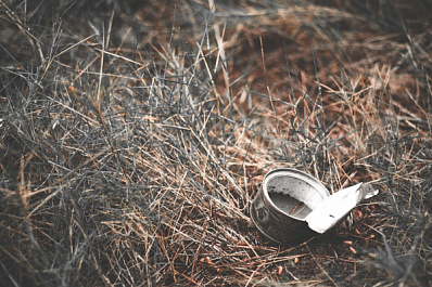 В тольяттинском лесу пройдет субботник