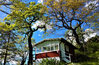 "Дачную амнистию" могут продлить еще на пять лет 