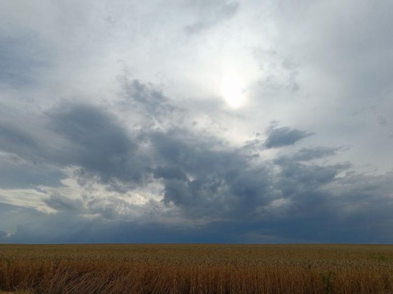 Погода на 5 августа 2025 года: народные приметы и прогноз синоптиков