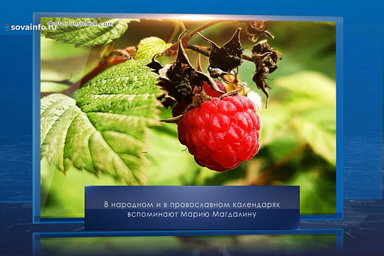 Мария Магдалина. Календарь Губернии от 4 августа