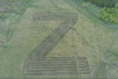 В Самарской области с высоты засняли гигантскую букву Z, высаженную из деревьев