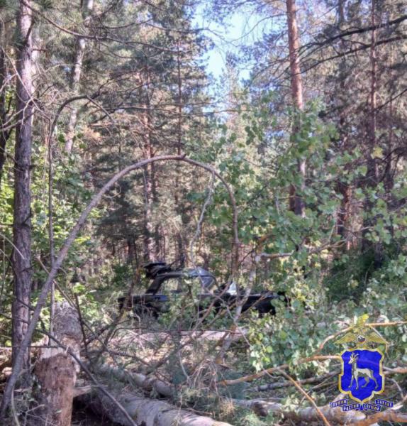 В Самарской области водитель "семерки" погиб, вылетев в кювет с трассы