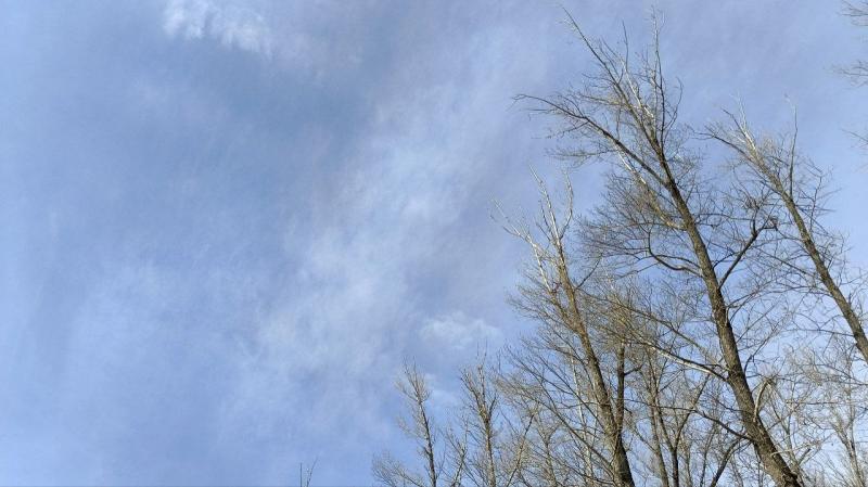 Погода на 25 марта 2025 года: народные приметы и прогноз синоптиков