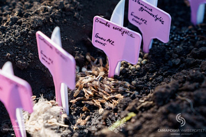 Название статьи