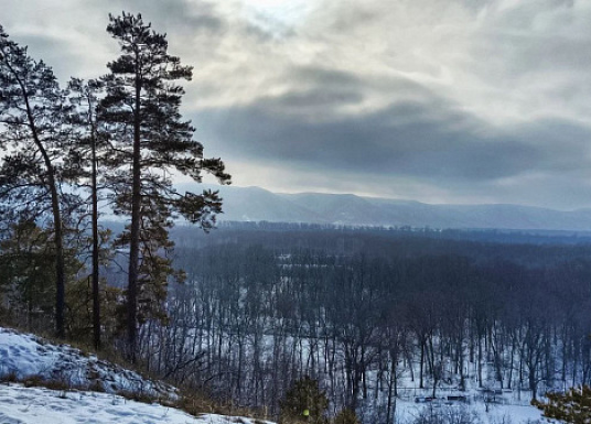Снег и туман: в Самарской области 18 декабря потеплеет до 2 градусов