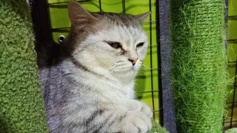 Самарцев 29 и 30 ноября приглашают на WOOF-фестиваль